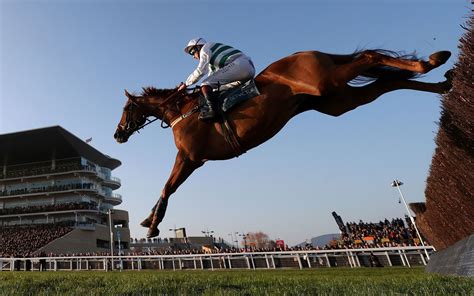 cheltenham runners and riders|Cheltenham Gold Cup 2022 runners and riders: A horse.